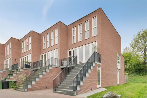 Zenegroen 83